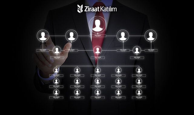 Organizasyon Yapımız